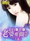 宠妻一加一老婆难做不到心