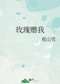 玫瑰赠我txt百度