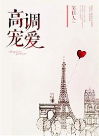 高调宠爱免费阅读全文