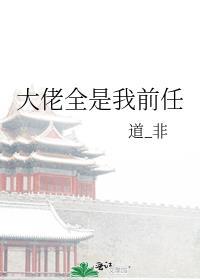 实用主义者的爱情简介