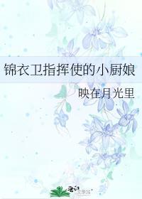有羽倾舟讲的什么