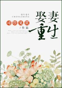 娶妻重生txt