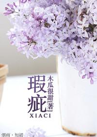 瑕疵与瑕玼的区别
