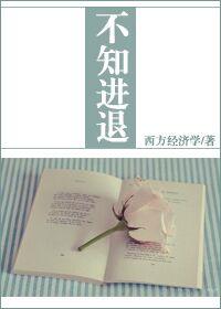 不知进退西方经济学