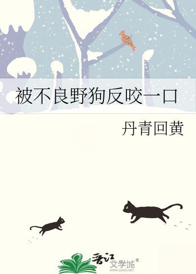 被野狗攻击怎么办