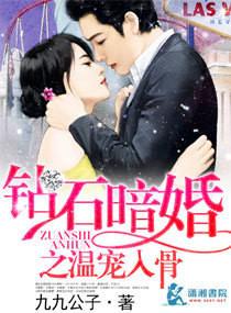 钻石暗婚之温宠入骨免费观看