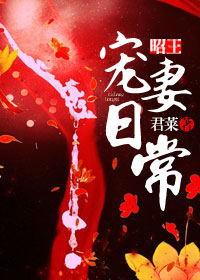 昭王宠妻日常类似