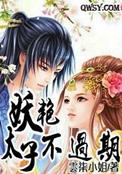 清纯妖艳太子妃