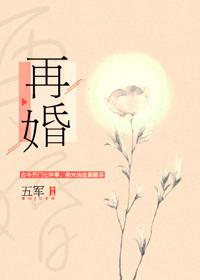 再婚记全文免费阅读