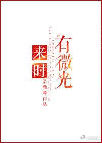 来时有微光讲什么故事
