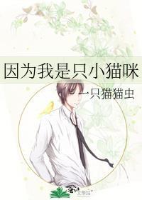 我只是一只小猫咪罢了