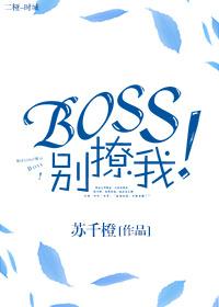 boss别撩我沐今夏