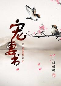 宠妻书 一棵绿树讲的什么