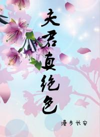 绝色夫君有几个