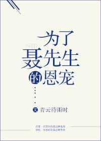 为了聂先生的恩宠老聂的故事