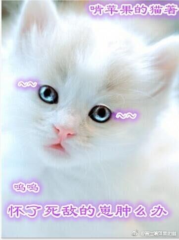 怀了死对头的孩子