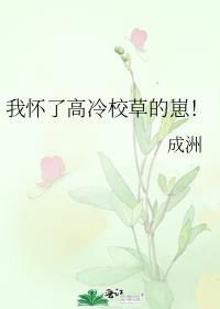 我怀了高冷校草的崽!TXT