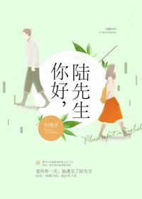 你好陆先生免费全文阅读浅岛溺心