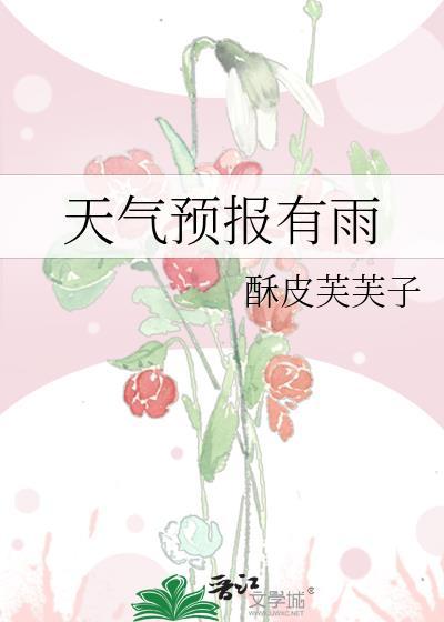 天气预报有雨TXT