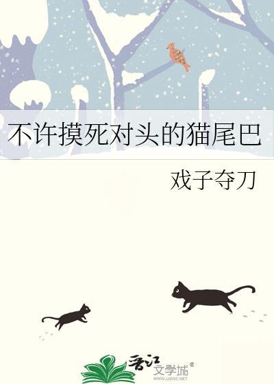 为什么不能摸猫咪的尾巴
