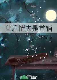 皇后情夫是首辅的
