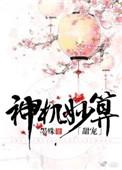 神机妙算全文