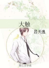 大解果的功效与副作用