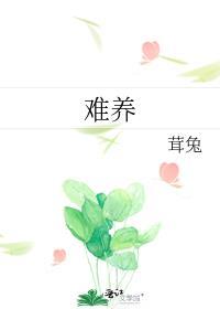 黑骑士茶花为什么难养