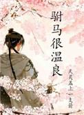 驸马太温柔txt