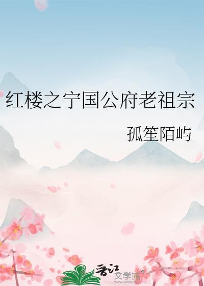 穿越红楼之宁国府夫人