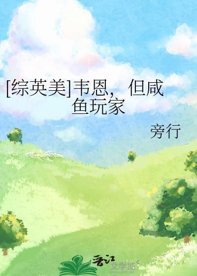 综英美韦恩法师