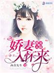 暖宠无限娇妻入怀来