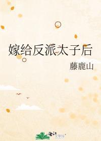 嫁给反派太子后txt番外