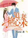 追妻擒心术书包网txt