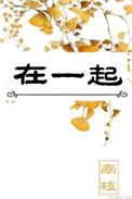 在一起电视剧免费观看完整版