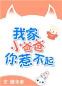 我家小爸爸你惹不起在线阅读