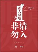 非请勿入 作者玫