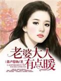 老婆大人有点暖免费