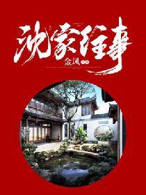 电视剧沈家大院简介