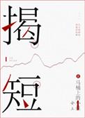 揭短成语