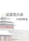 反派洗白录txt宝书网