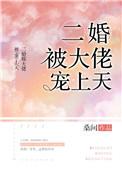 二婚宠妻太深
