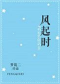 风起时歌词
