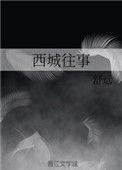 西城往事陈迦南