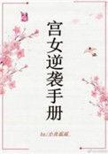 宫女逆袭手册讲的什么