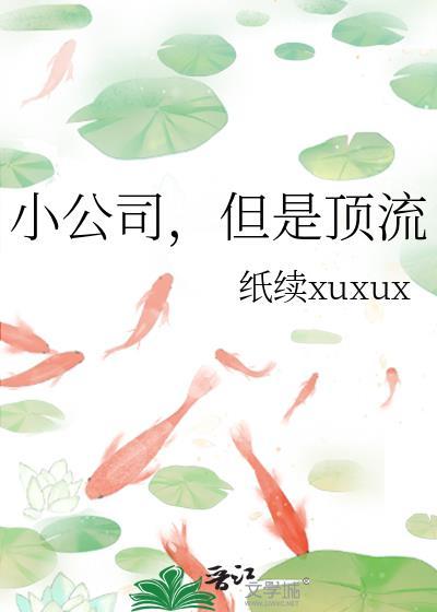 小公司但是顶流纸续