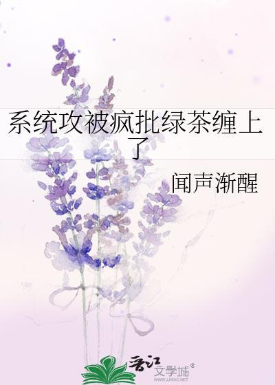 系统攻的