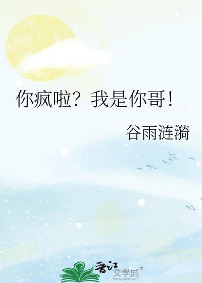 你疯啦我是你哥这本讲了什么