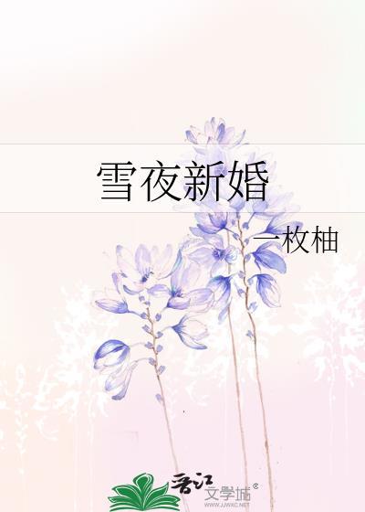 雪夜新婚txt番外