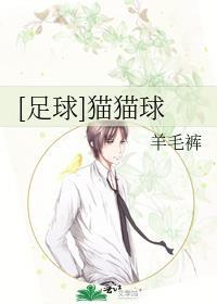 足球猫猫球by羊毛免费